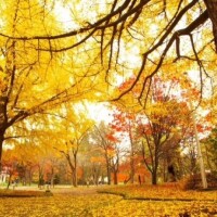 おはようございます