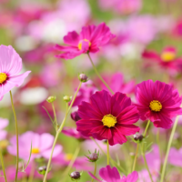 おはようございます☺️