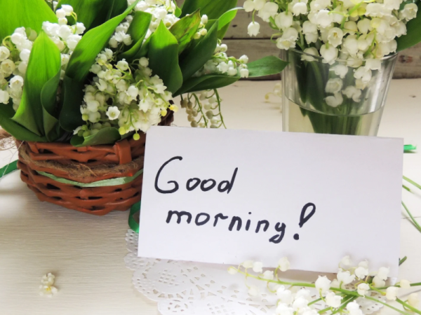 おはようございます☺️