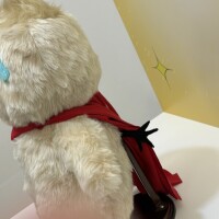 💜おはようございます💜