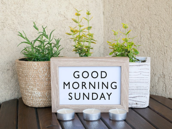 おはようございます☺️