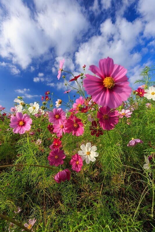 おはようございます