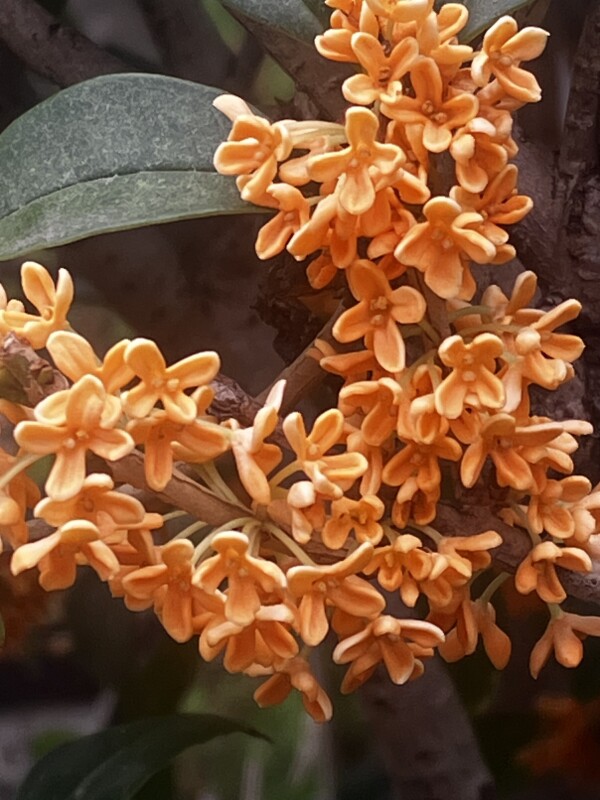 image0.jpeg
