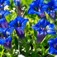 お疲れさまです😊