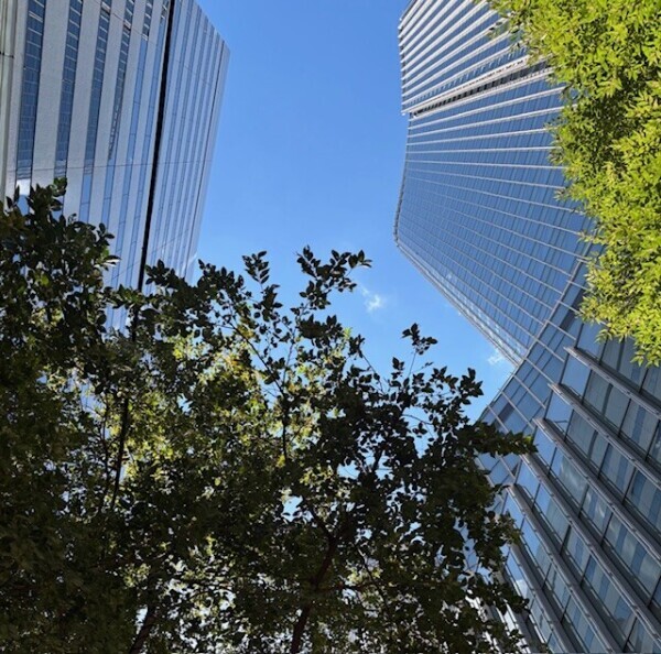 おはようございます