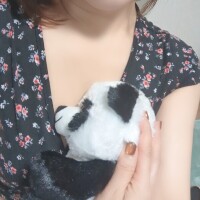 お支度ととのいました🐼💕‪