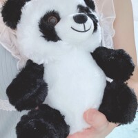 ハッピーサタデー