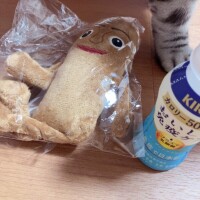 こんばんは