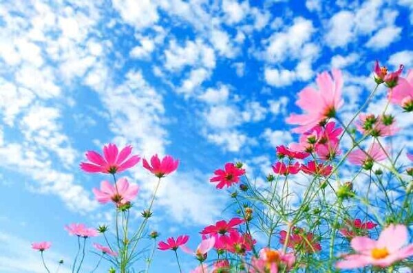 おはようございます☀️