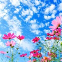 おはようございます☀️