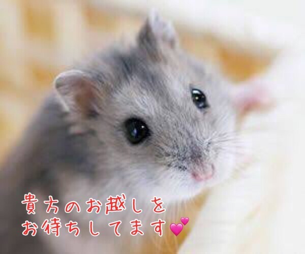 お身体お疲れの方〜(*｣´□`)｣✨️