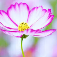 おはようございます☺