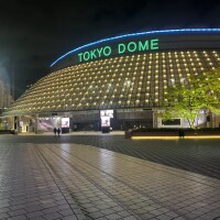 最終日(*•̀ㅂ•́)و✧