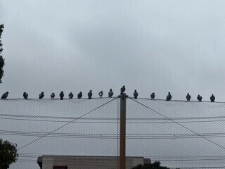 気温が下がると