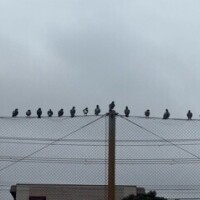 気温が下がると