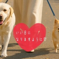 本日13時～出勤します！