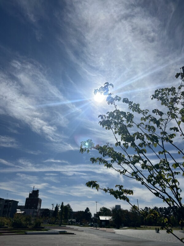 本日11時～出勤します❁⃘*.ﾟ