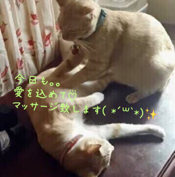 お疲れではありませんか？