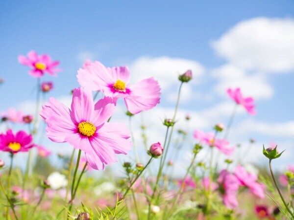 おはようございます🥺