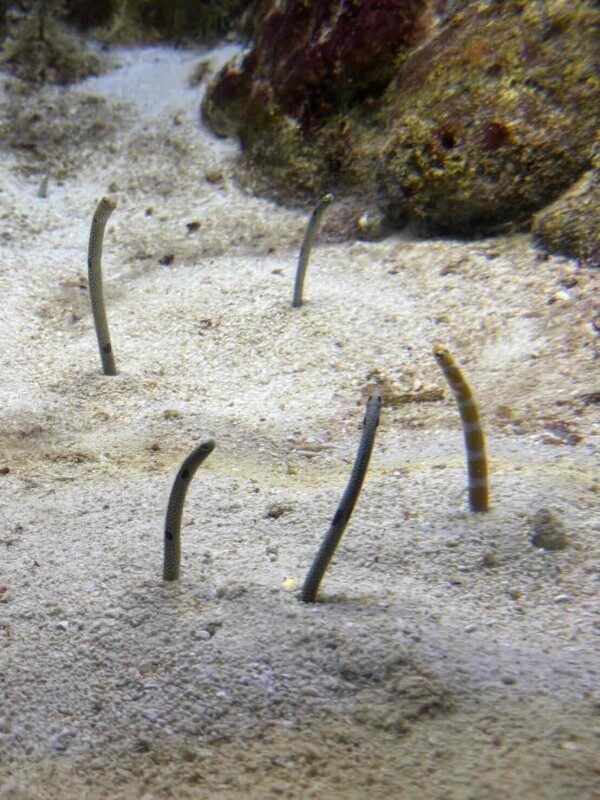 おはようございます