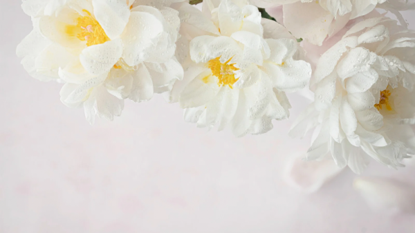 週末のお疲れ、あたためます♡