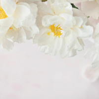 週末のお疲れ、あたためます♡