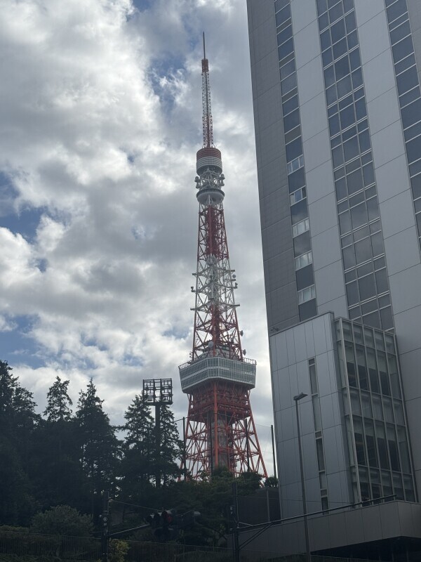 ありがとうございました🐰