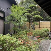 人肌が恋しくないですか？