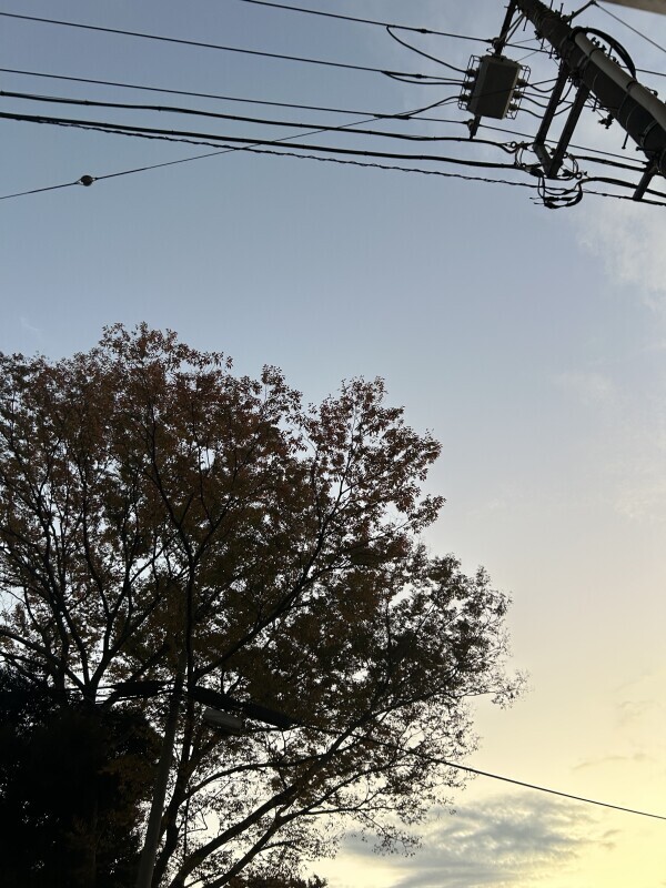 10時～出勤します🌹