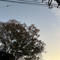 10時～出勤します🌹