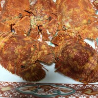 先日はありがとうございました🐣