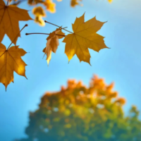 おはようございます😊