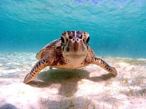 Re: こんばんは🌆