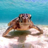 Re: こんばんは🌆