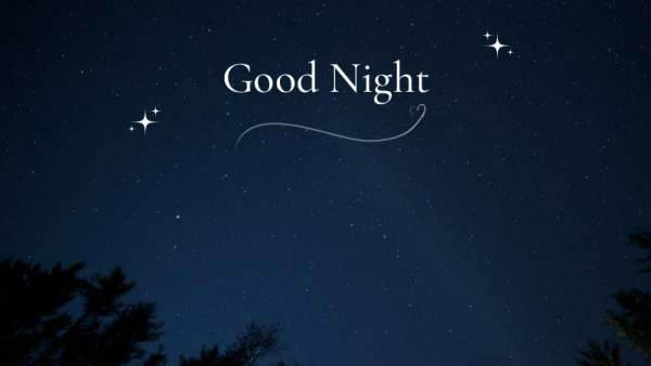 あたたかくしておやすみください🌙