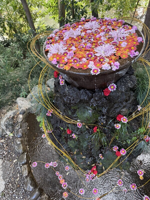 おはようございます