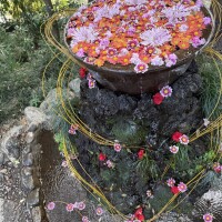 おはようございます