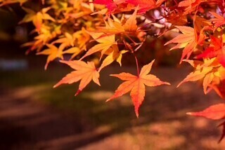 Re: こんにちは😊