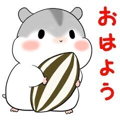 おはようございます