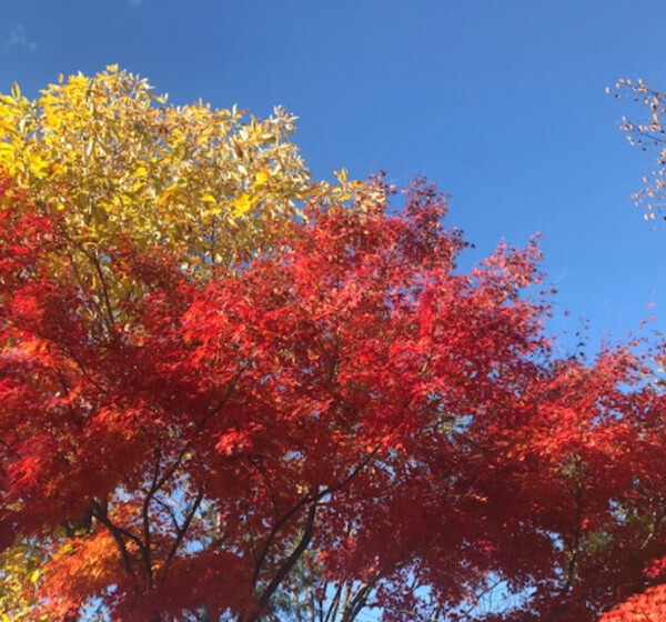 良いお天気☀️😆💕