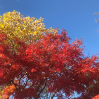 良いお天気☀️😆💕