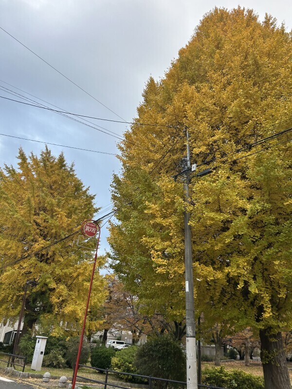 おはようございます！