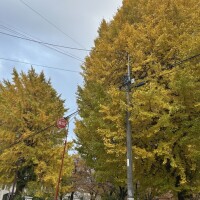 おはようございます！