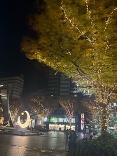 イルミネーション！