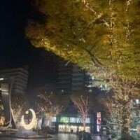 イルミネーション！