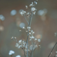 おはようございます😊