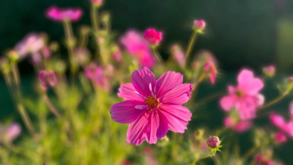 おはようございます✨