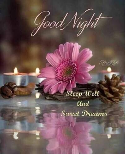 おやすみなさい