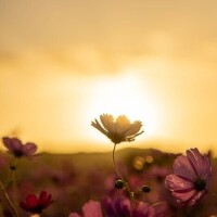 おはようございます♪