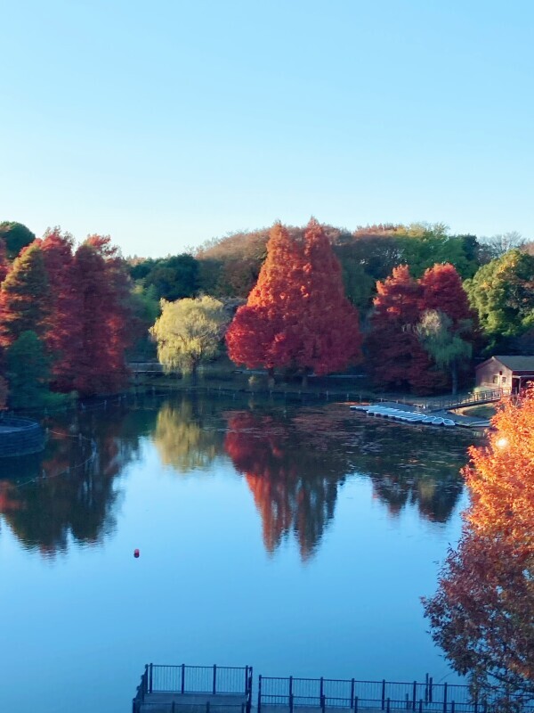 おはようございます